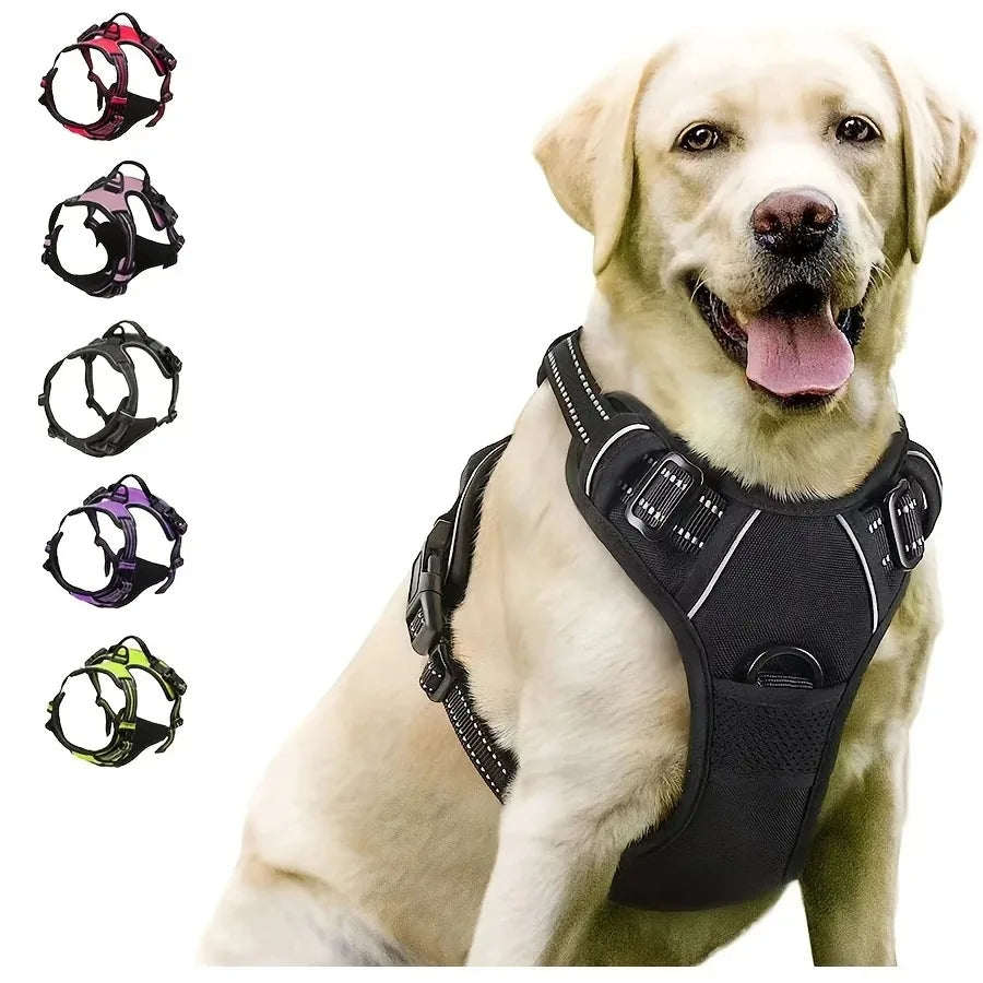 Los collares, arneses y chalecos grandes de piel para perros