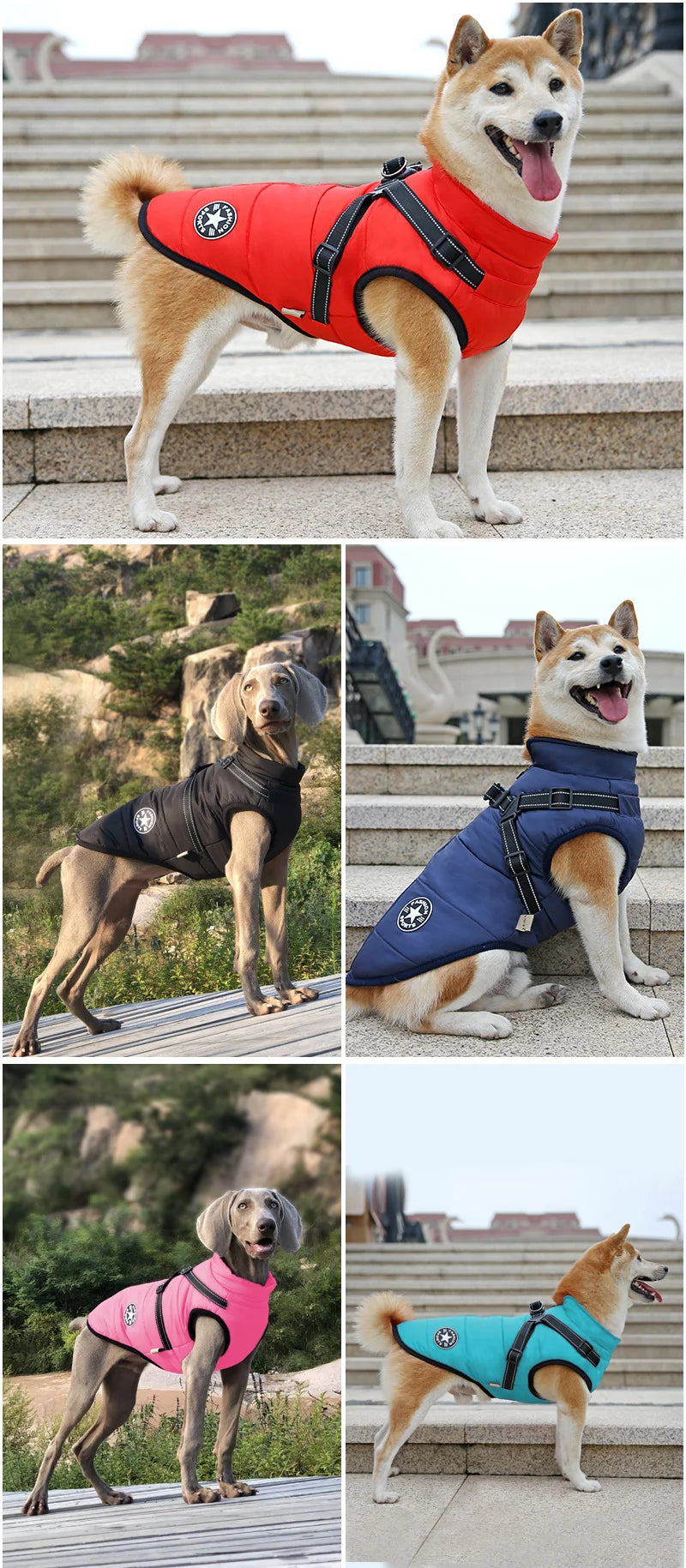 El arnés chaleco para perro de invierno impermeable con forro de piel