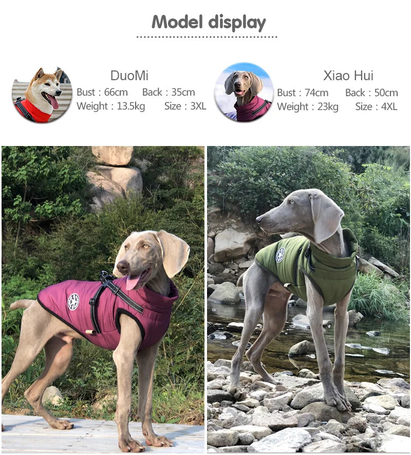 El arnés chaleco para perro de invierno impermeable con forro de piel