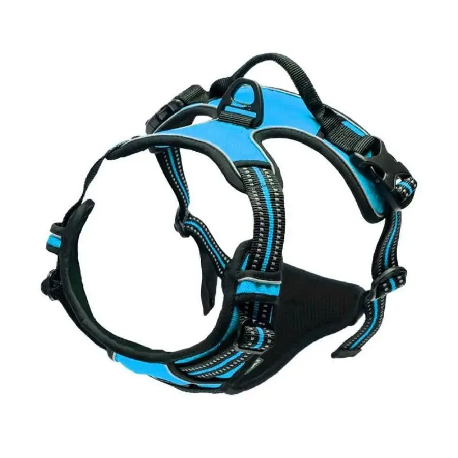 Los collares, arneses y chalecos grandes de piel para perros