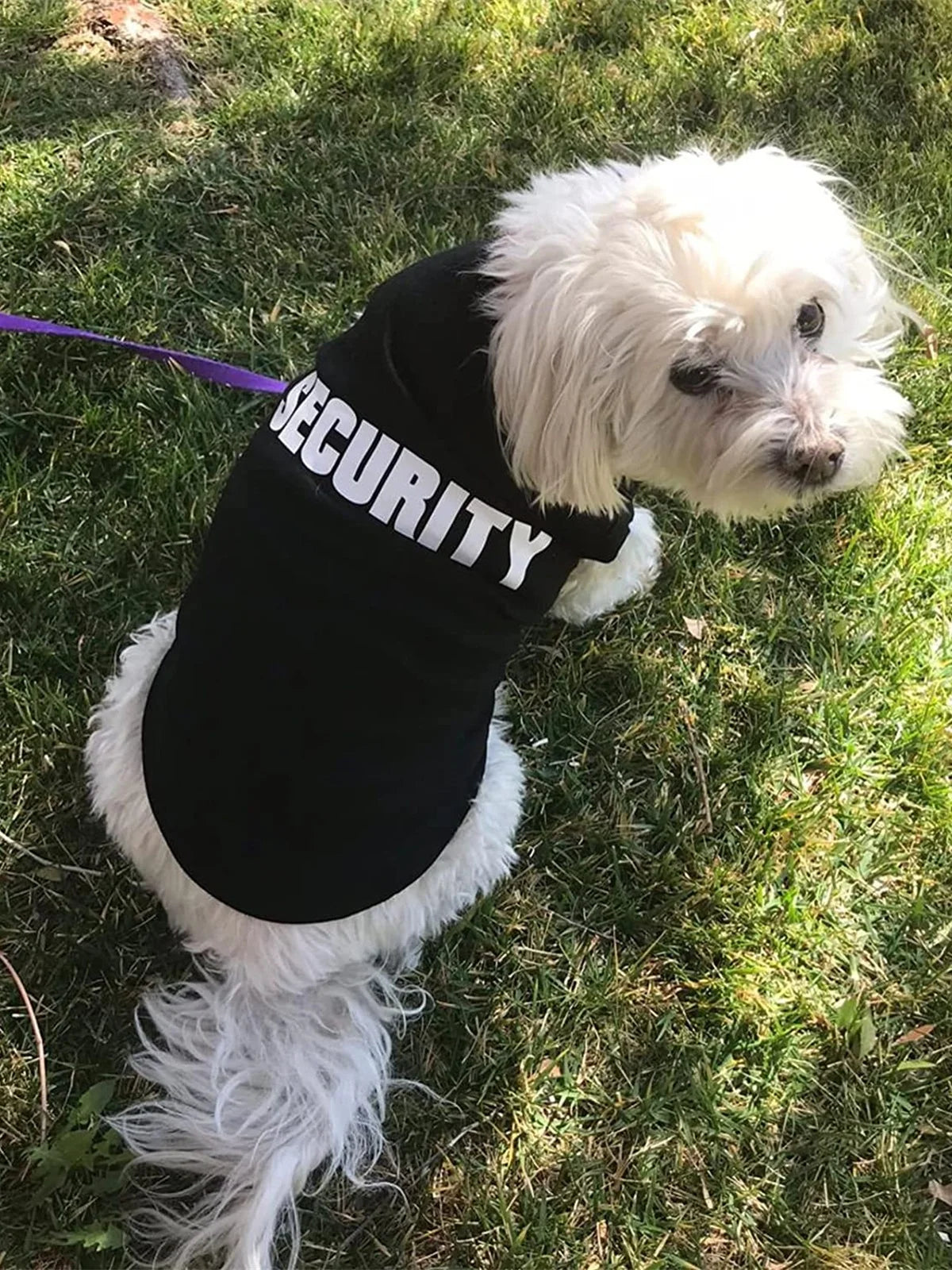 El chaleco ligero de seguridad de verano para perros The Fur