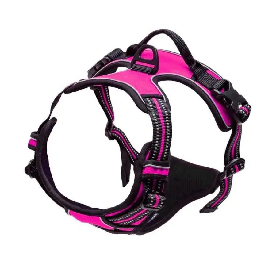 Los collares, arneses y chalecos grandes de piel para perros
