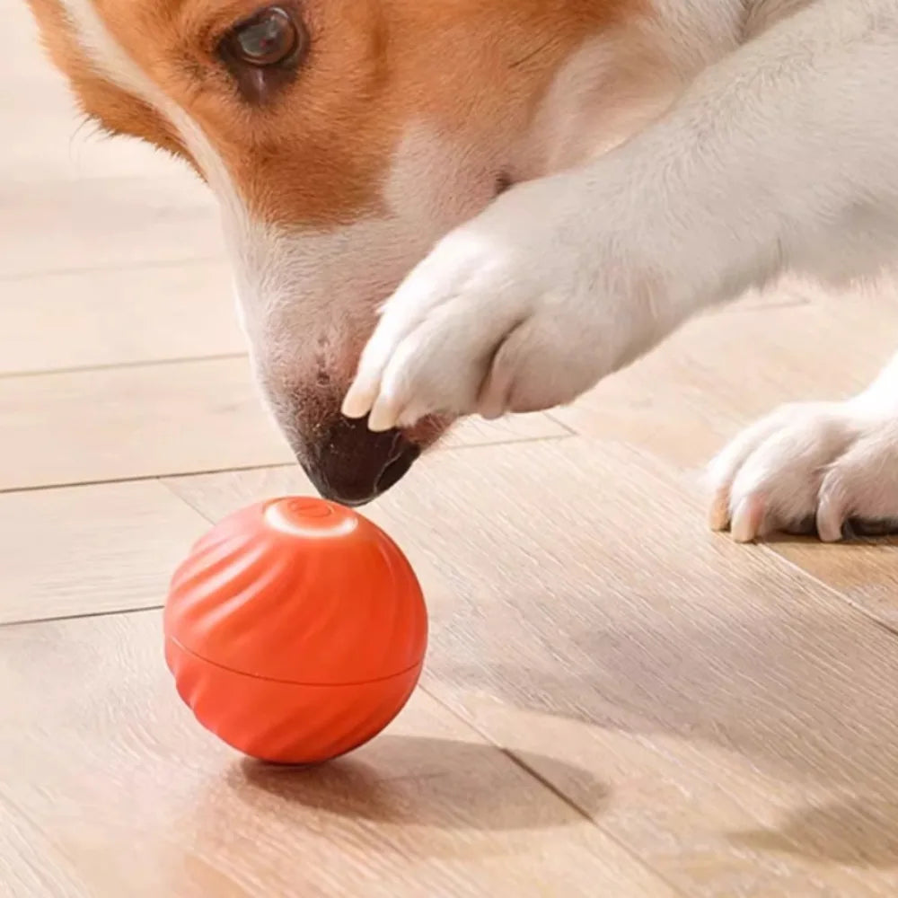 La pelota interactiva recargable USB Fur para perros