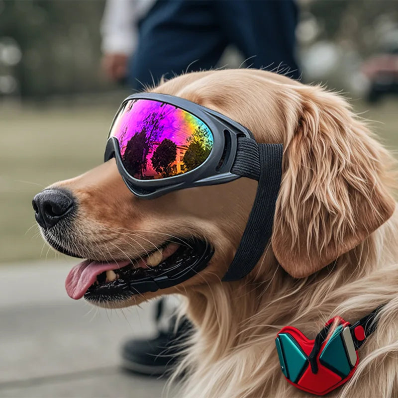 Las gafas de sol para perros con protección UV Fur