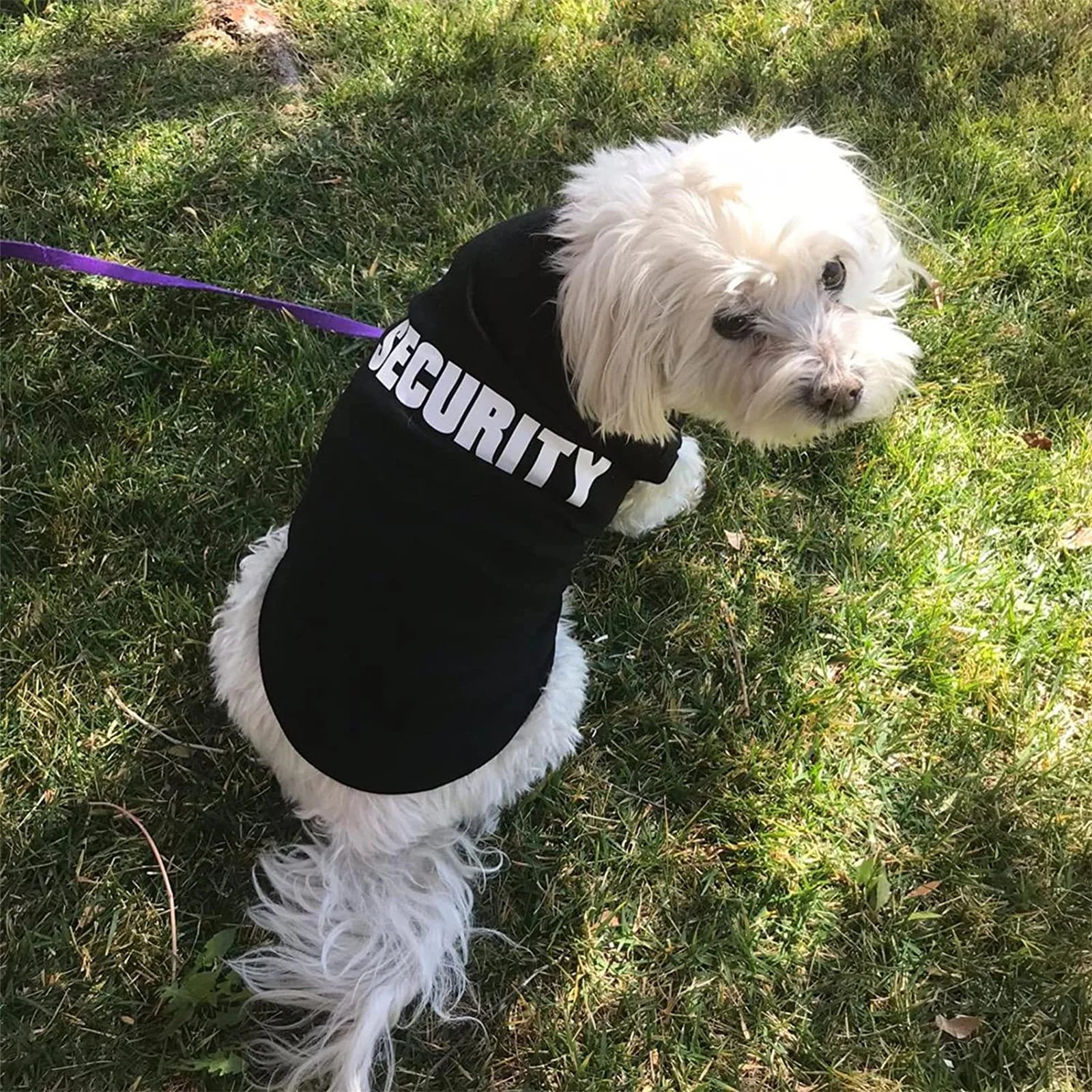 El chaleco ligero de seguridad de verano para perros The Fur