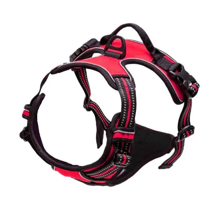 Los collares, arneses y chalecos grandes de piel para perros