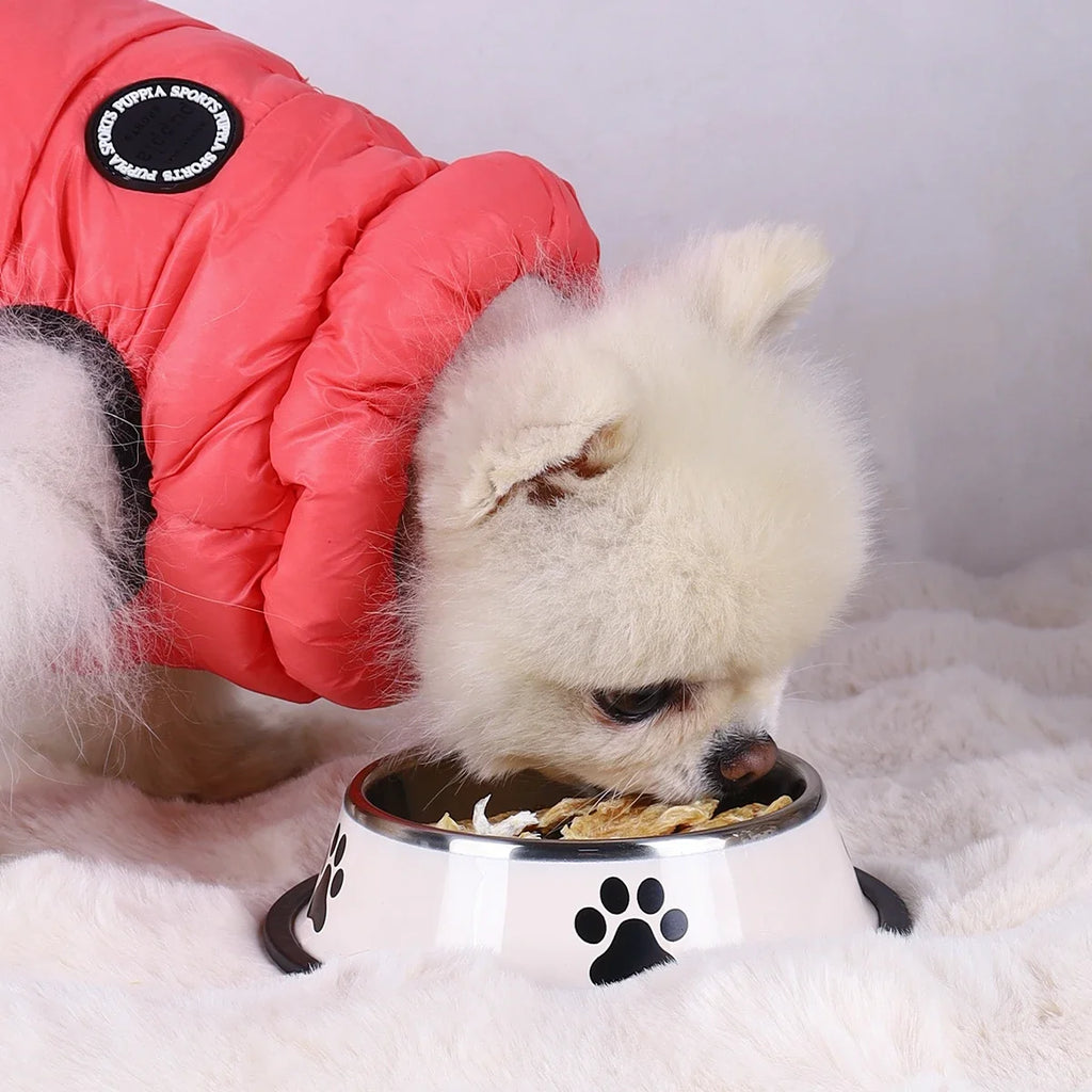 El cuenco de acero inoxidable Fur para mascotas