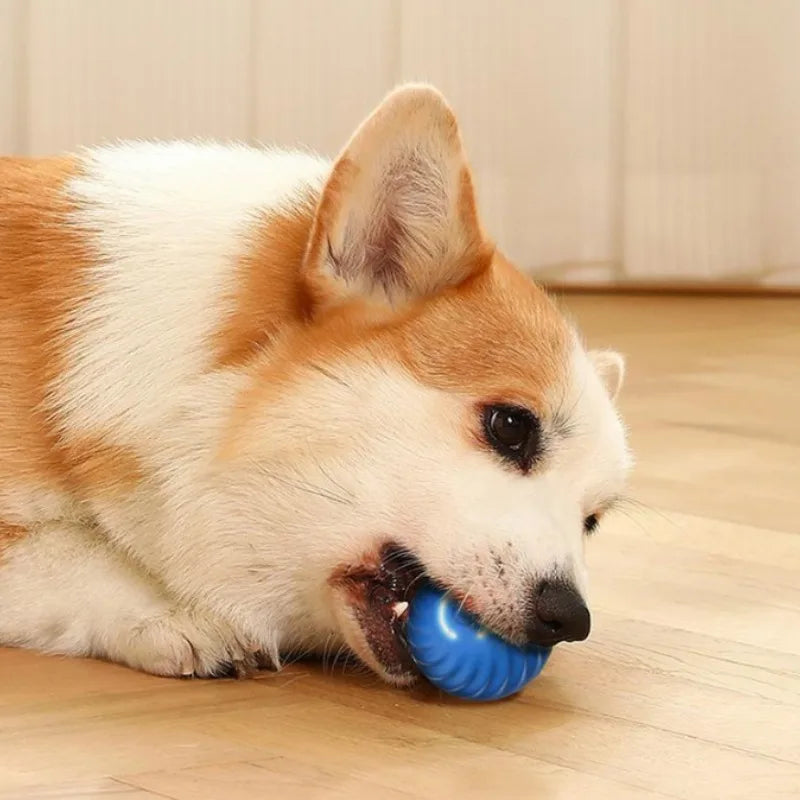 La pelota interactiva recargable USB Fur para perros