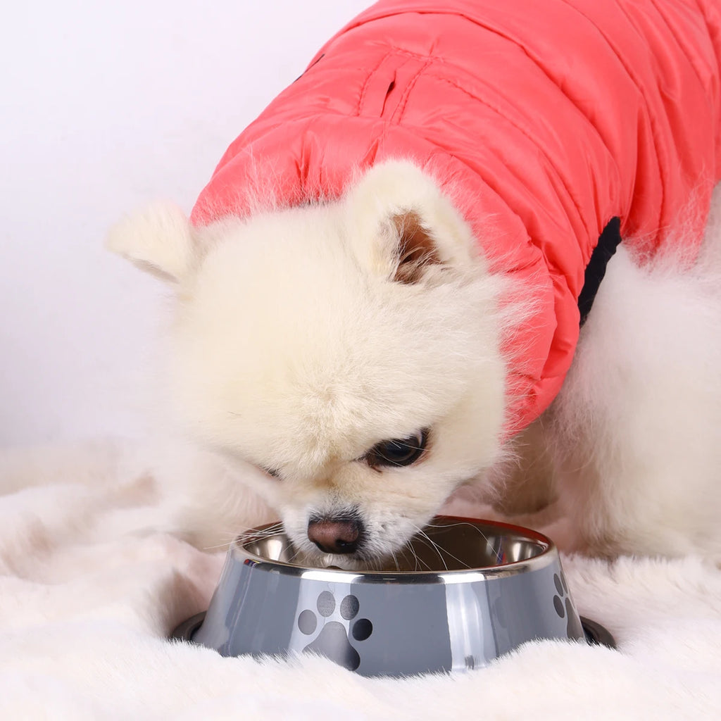 El cuenco de acero inoxidable Fur para mascotas