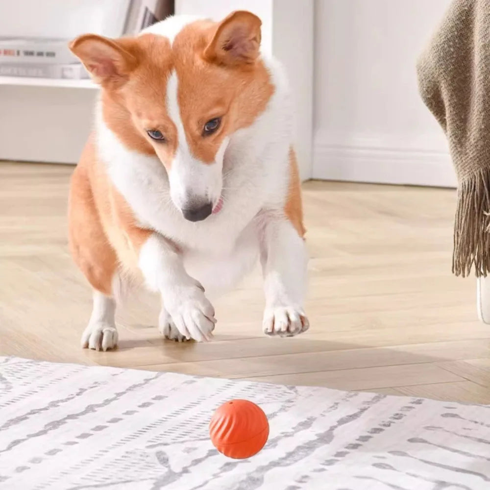 La pelota interactiva recargable USB Fur para perros