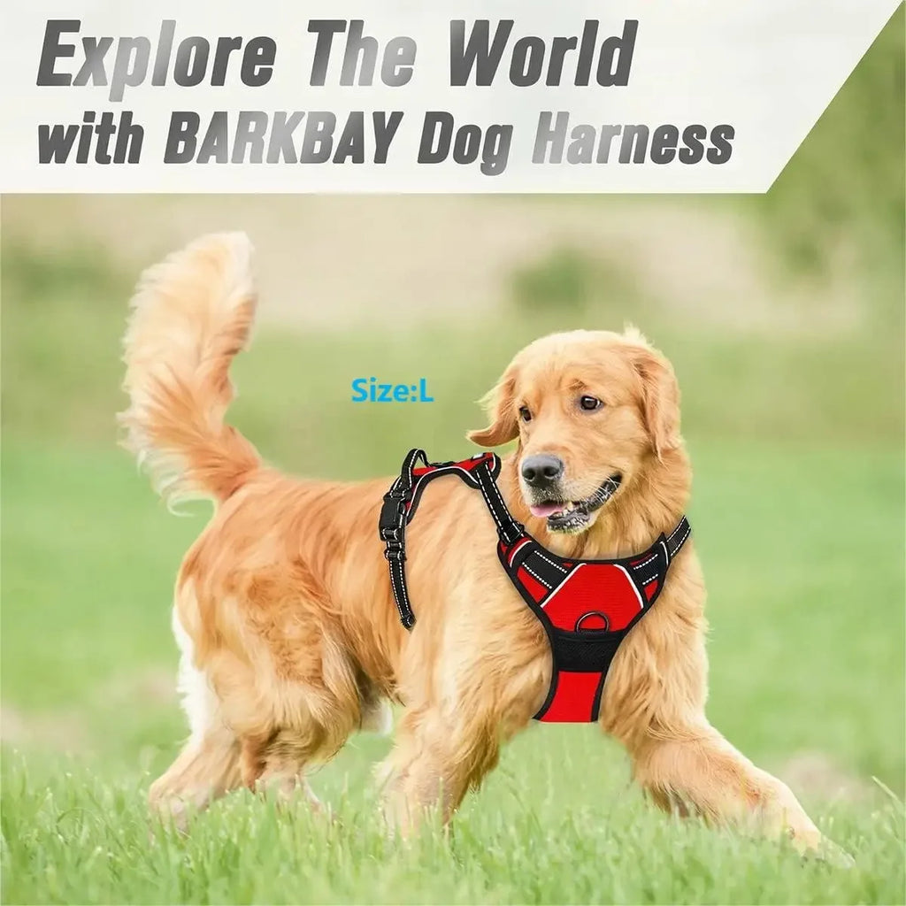 Los collares, arneses y chalecos grandes de piel para perros