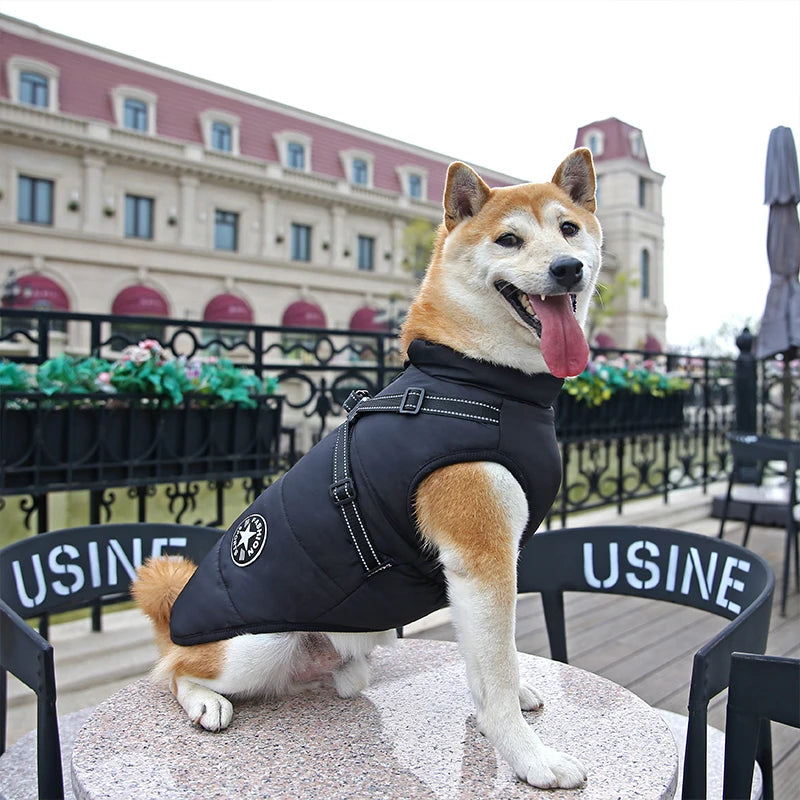 El arnés chaleco para perro de invierno impermeable con forro de piel