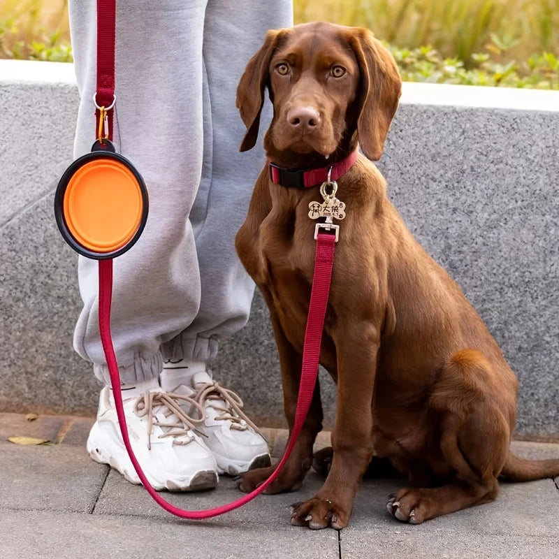 El comedero y bebedero plegable de piel para mascotas de viaje