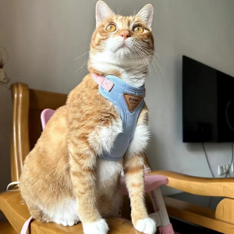 El set de arnés y correa transpirable para perros y gatos Fur