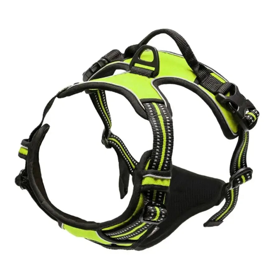 Los collares, arneses y chalecos grandes de piel para perros