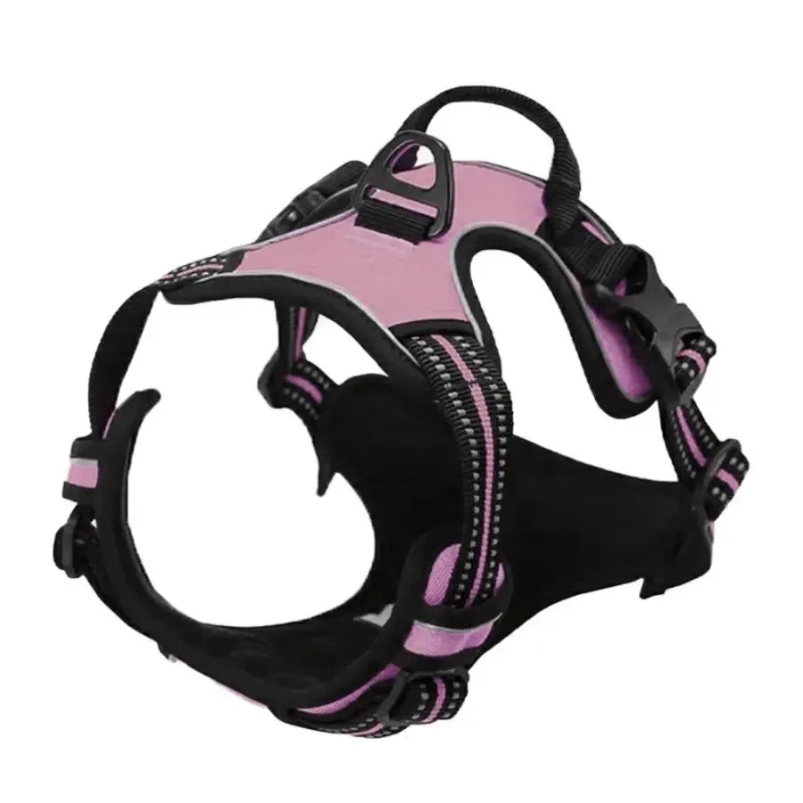 Los collares, arneses y chalecos grandes de piel para perros