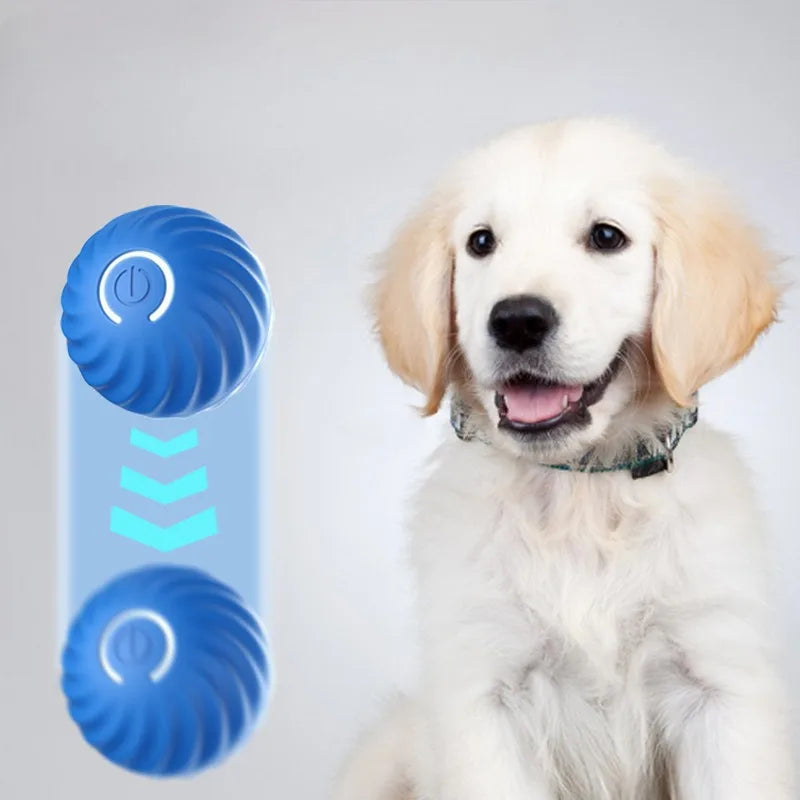 La pelota interactiva recargable USB Fur para perros