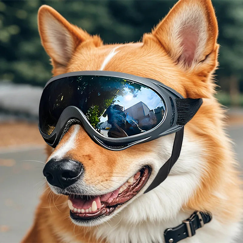 Las gafas de sol para perros con protección UV Fur