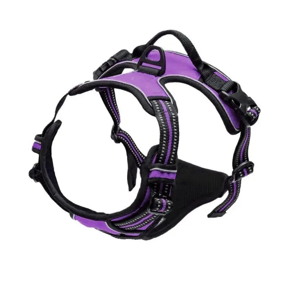 Los collares, arneses y chalecos grandes de piel para perros