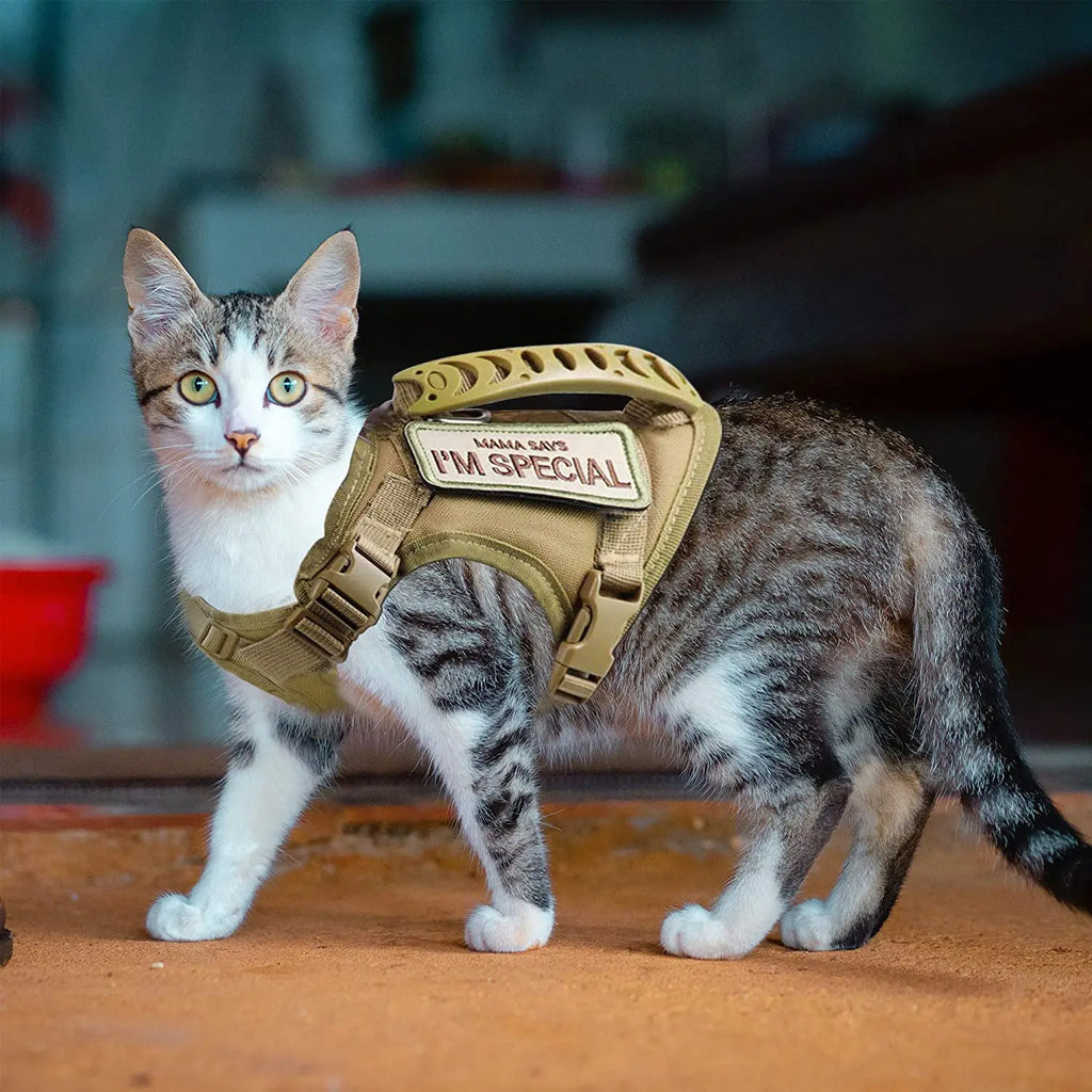 El chaleco arnés táctico anti-escape para gatos The Fur