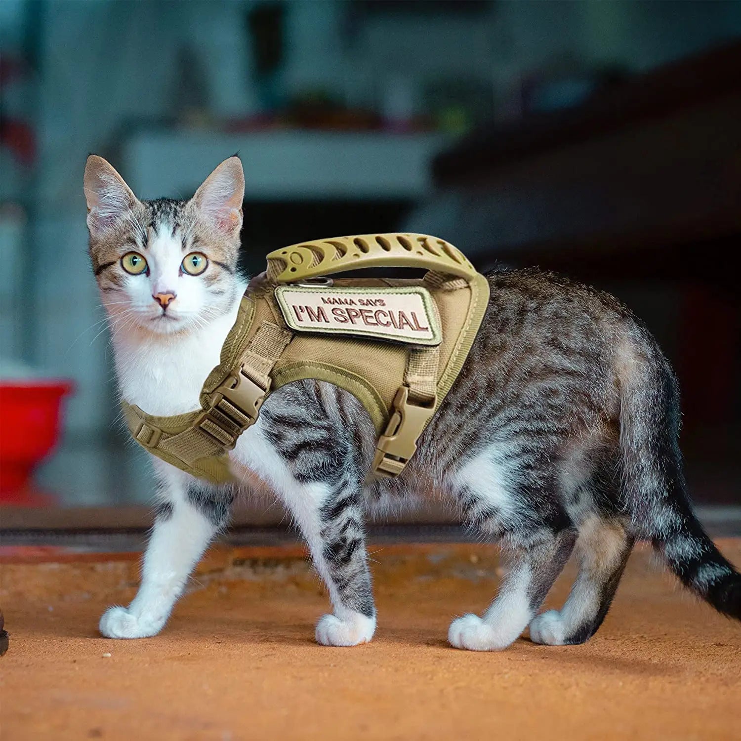 El chaleco arnés táctico anti-escape para gatos The Fur