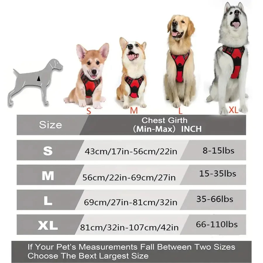 Los collares, arneses y chalecos grandes de piel para perros