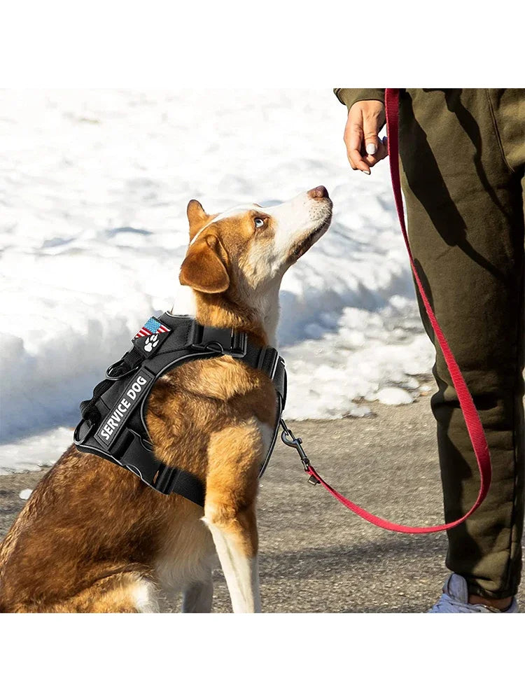 El arnés reflectante para perros de trabajo Fur con juego de parches