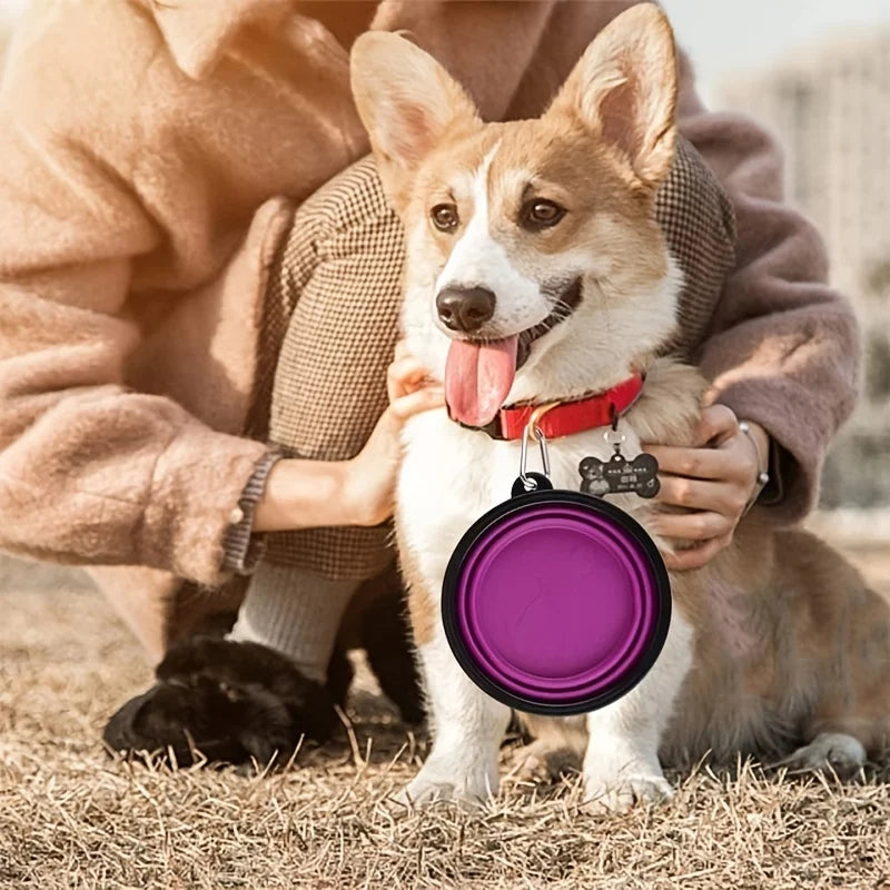 El comedero y bebedero plegable de piel para mascotas de viaje