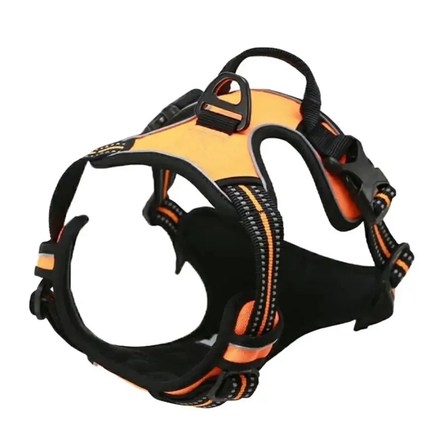 Los collares, arneses y chalecos grandes de piel para perros