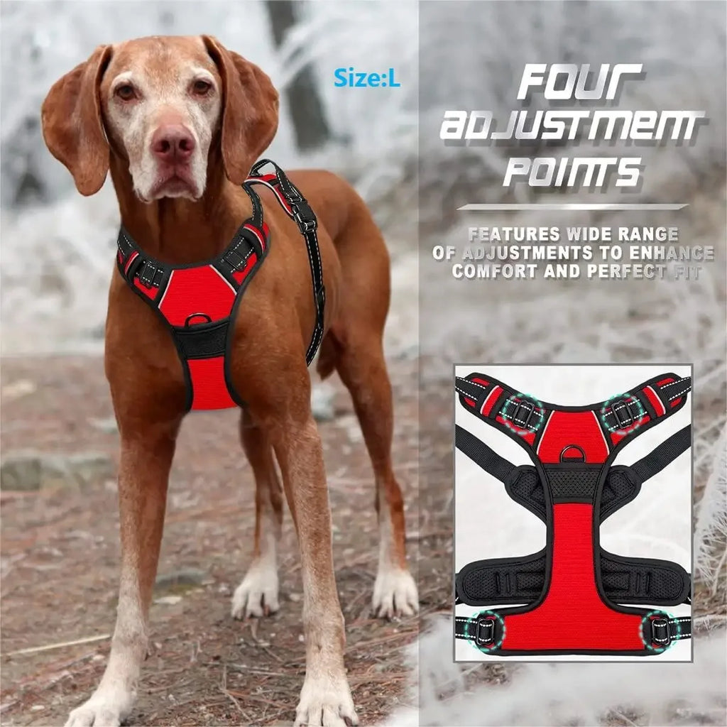 Los collares, arneses y chalecos grandes de piel para perros