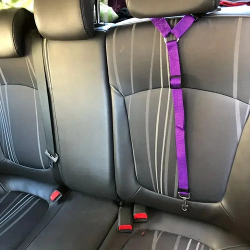 El cinturón de seguridad para mascotas de piel ajustable con reposacabezas para coche
