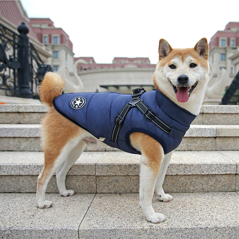 El arnés chaleco para perro de invierno impermeable con forro de piel