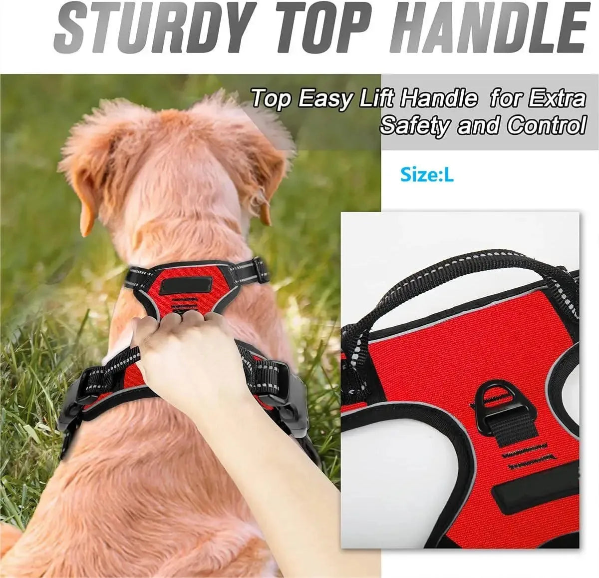 Los collares, arneses y chalecos grandes de piel para perros