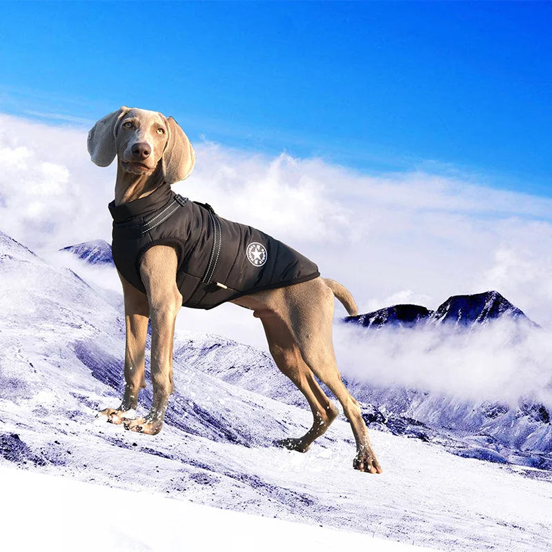 El arnés chaleco para perro de invierno impermeable con forro de piel