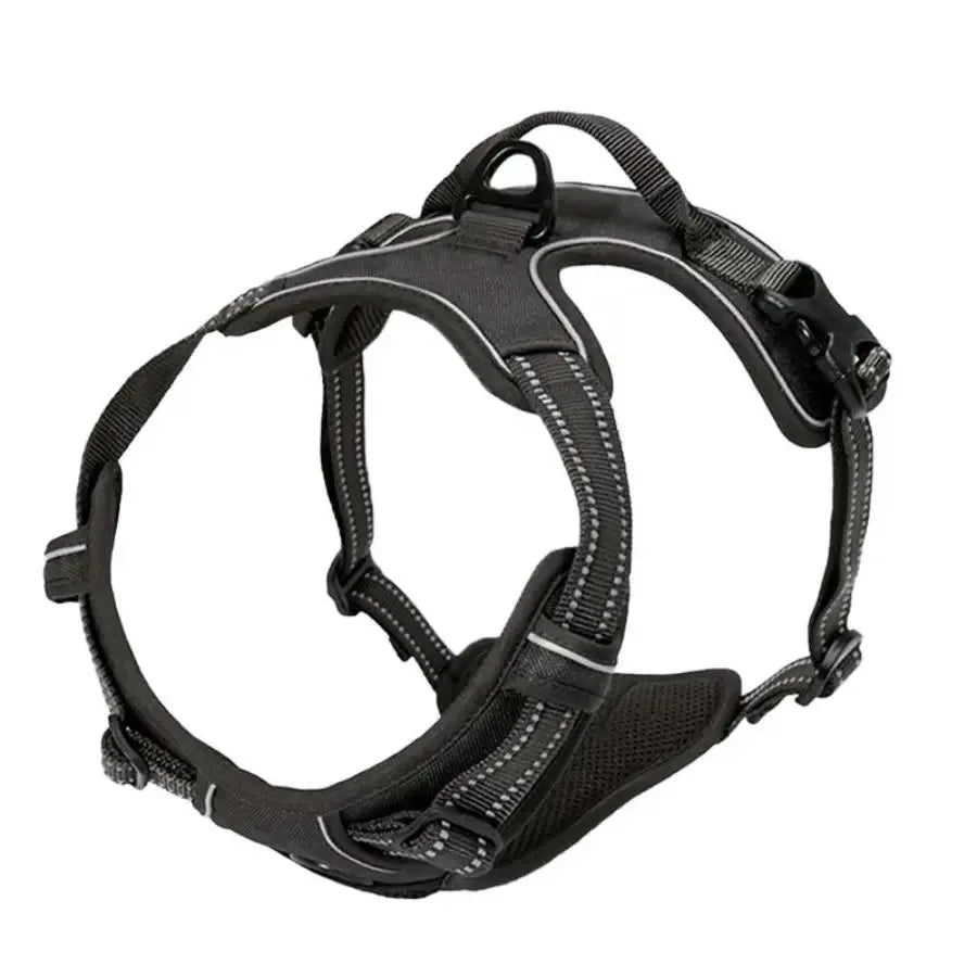 Los collares, arneses y chalecos grandes de piel para perros