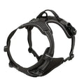 Los collares, arneses y chalecos grandes de piel para perros